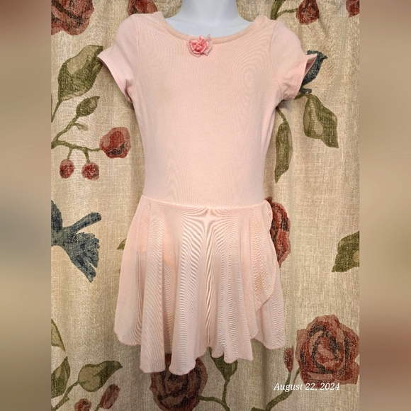 Girls ballet leorard w/ tutu, Theatricals brand sz MC, ( 2T, 3-4T ) - Picture 1 of 6